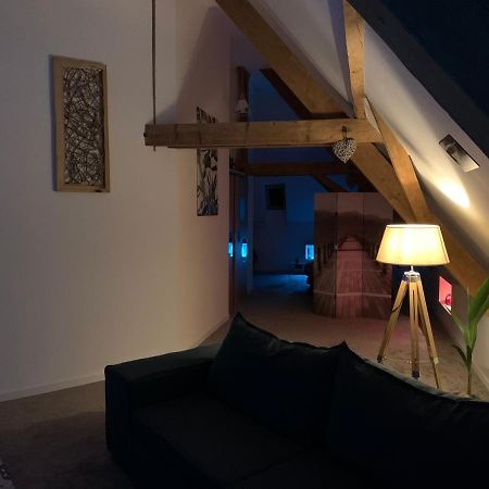Nid De Cigogne Apartman Illhaeusern Kültér fotó