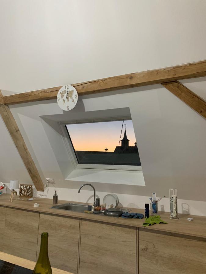 Nid De Cigogne Apartman Illhaeusern Kültér fotó